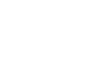 Quality Language In Action